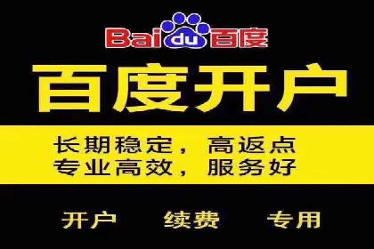 搜索引擎优化（SEO）在百度上的应用案例研究